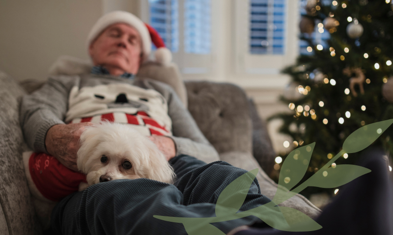 man asleep on couch with puppy in his lap at christmas
